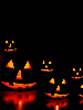 Five lit Jack-O-Lanterns in a black background
